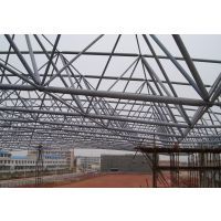 河南高速公路收費加油站網(wǎng)架罩棚 鋼結構網(wǎng)架的現(xiàn)代應用解析