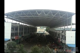 市場大棚與溫室大棚中的鋼結(jié)構(gòu)網(wǎng)架 構(gòu)建現(xiàn)代農(nóng)業(yè)與商業(yè)空間的骨架